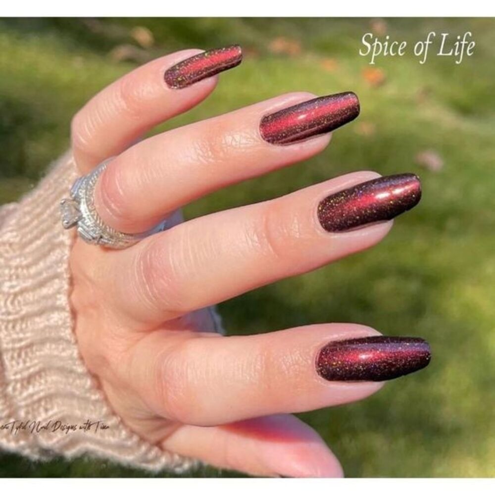 Color‎ Street | SPICE OF LIFE | NWT | SKU126v | Rare & Retired Collection